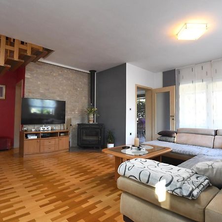 Villa Tinov Dvor Brisevo Extérieur photo