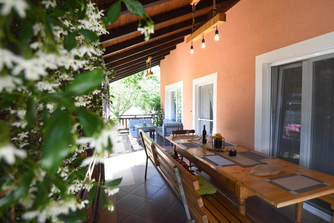 Villa Tinov Dvor Brisevo Extérieur photo